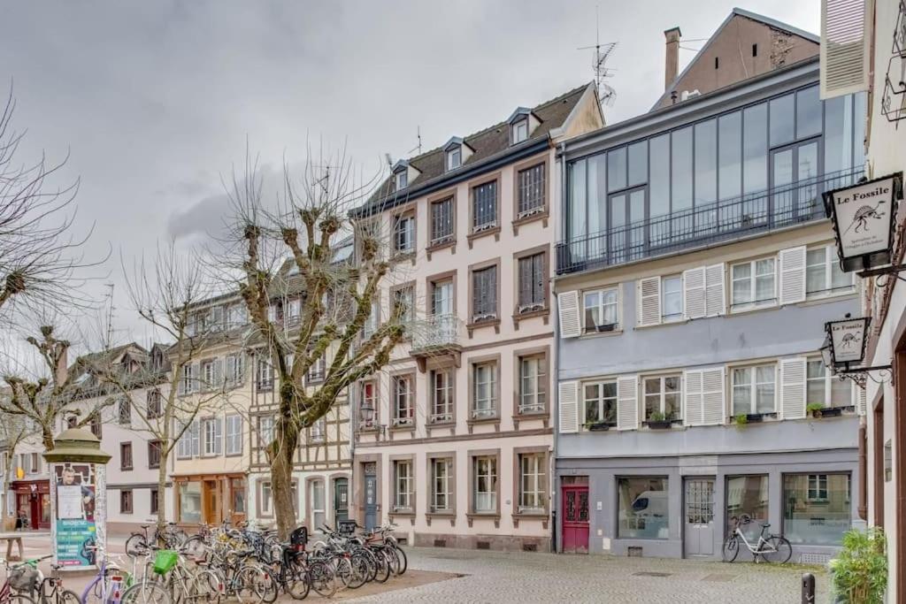 Le Loft Des Lumieres - Superbe Loft Lumineux Au Coeur De La Krutenau Apartment Strasbourg Ngoại thất bức ảnh
